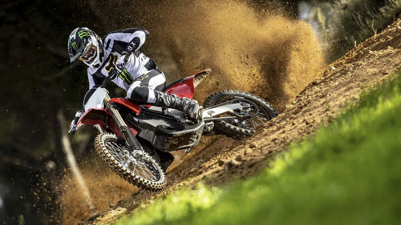 Stark Varg Motocross Electric Motorcycle